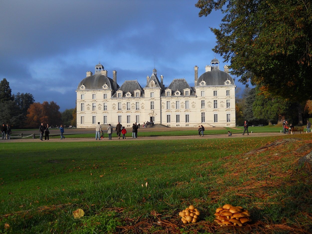 Château de Cheverny